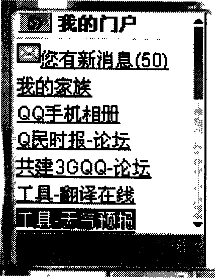 Immediate communication system and method based on WAP