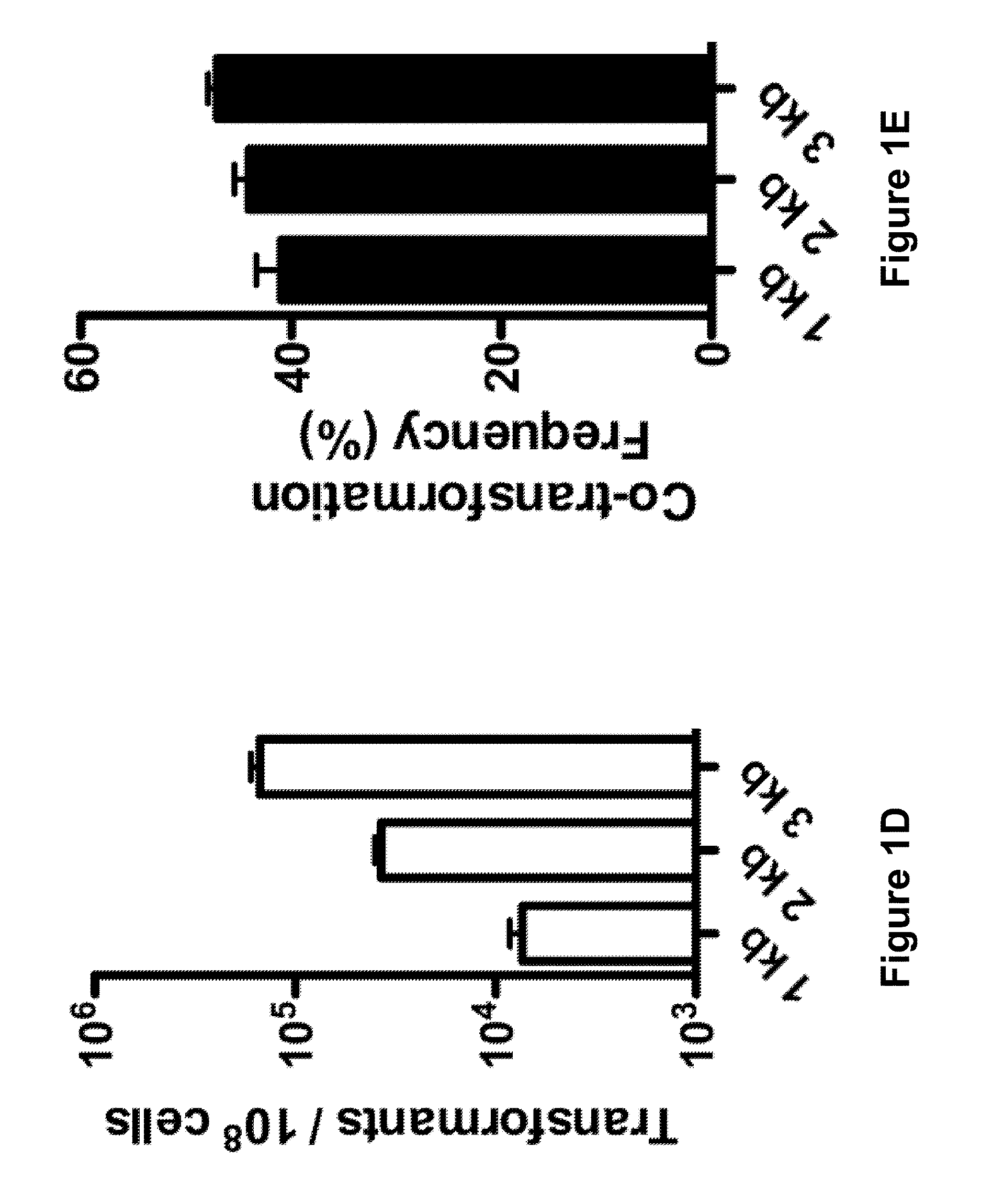 Methods and apparatus for transformation of naturally competent cells