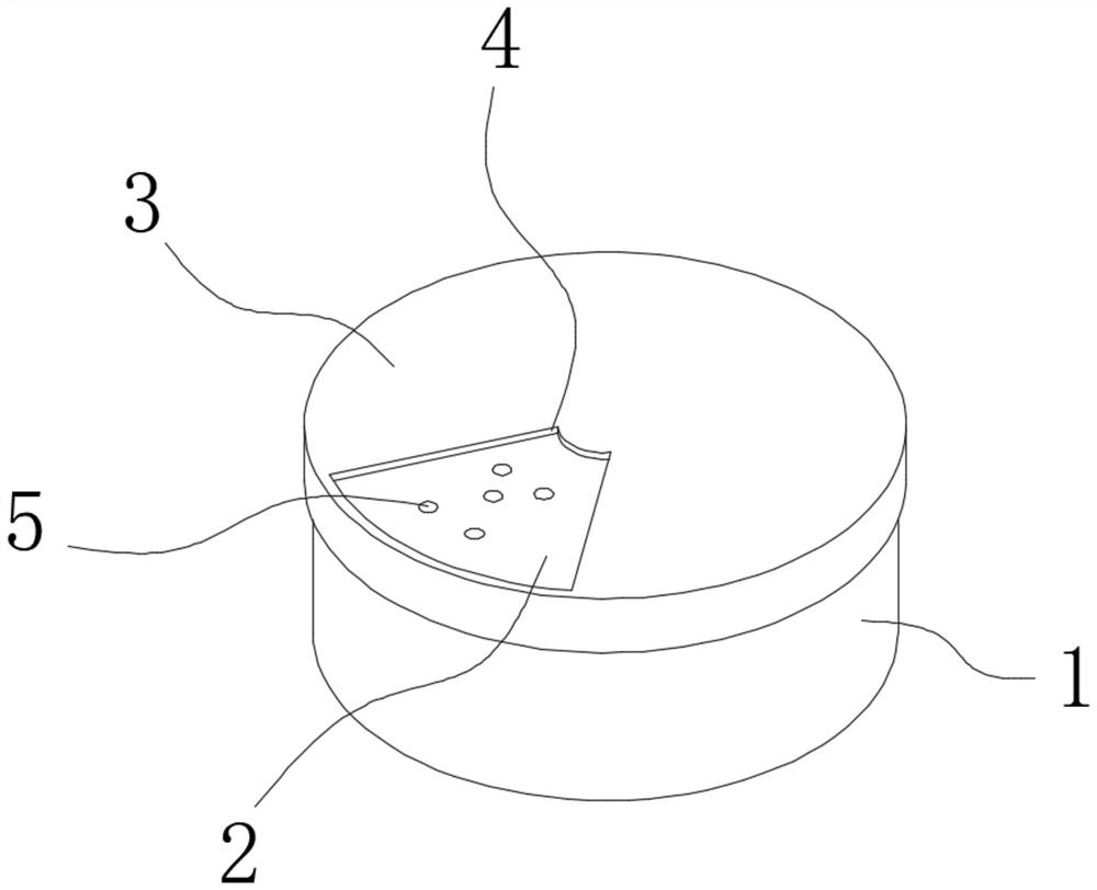 Convertible multi-standard socket