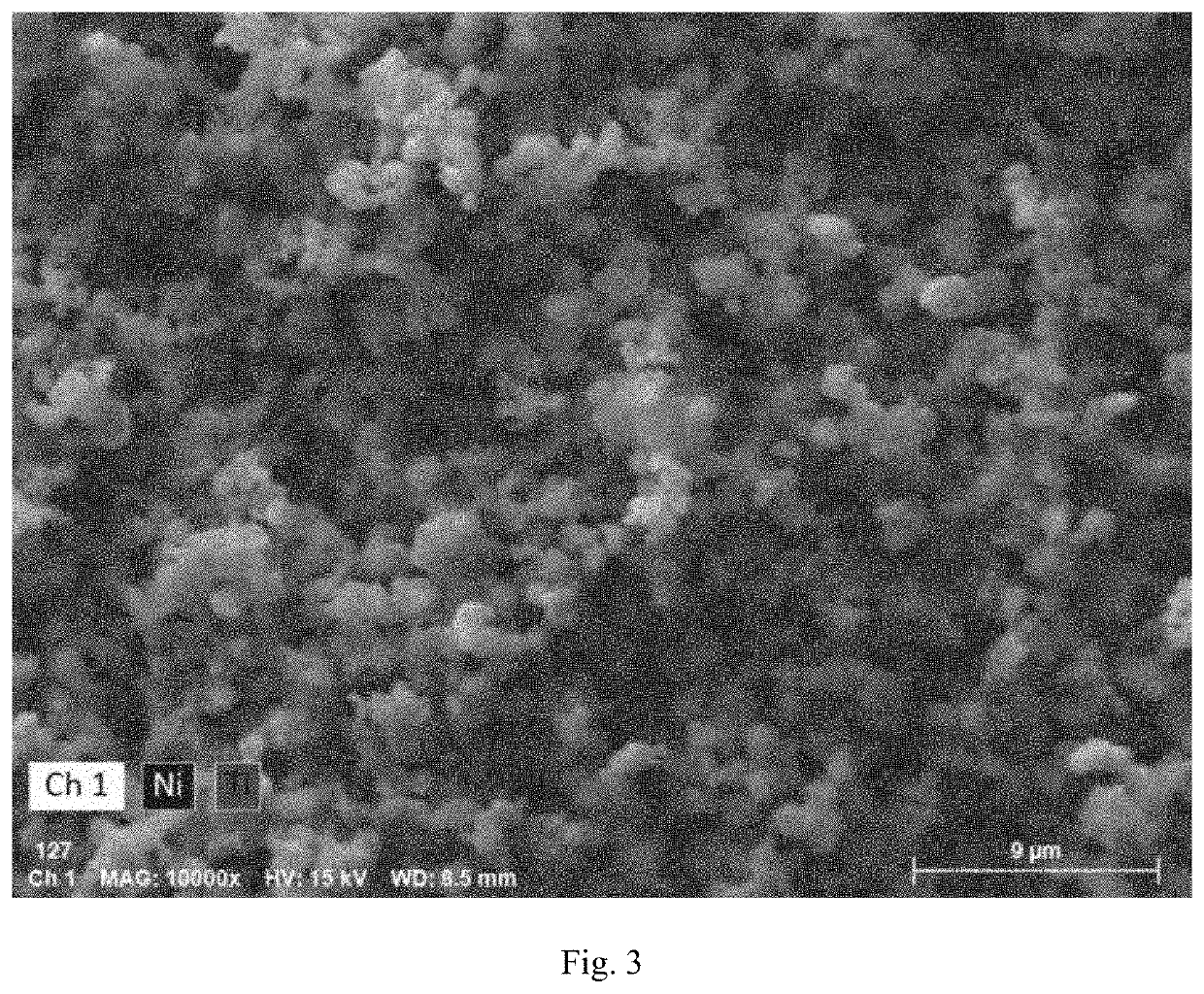 Coating on nickelate cathode materials