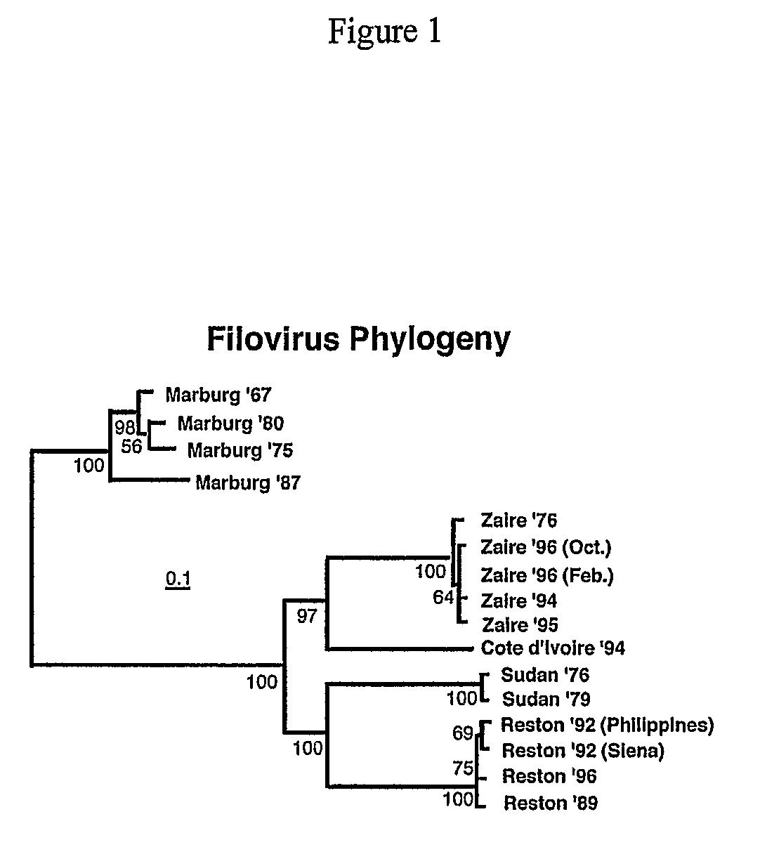 Inhibitors of enveloped virus infectivity