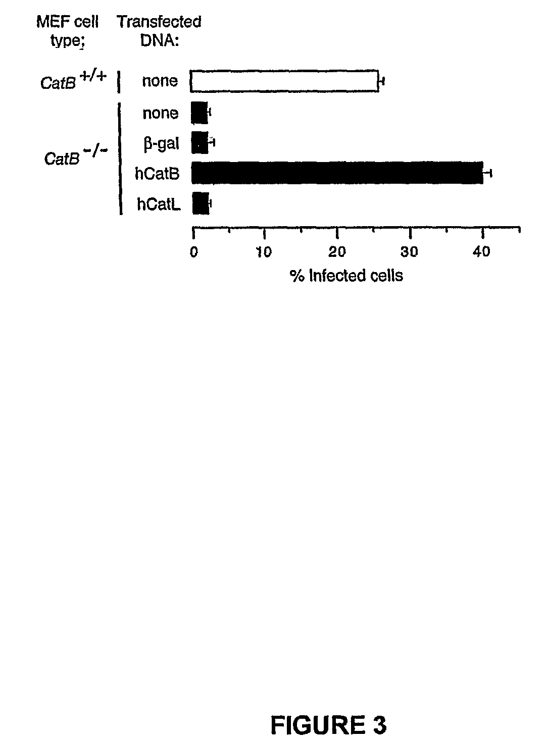 Inhibitors of enveloped virus infectivity