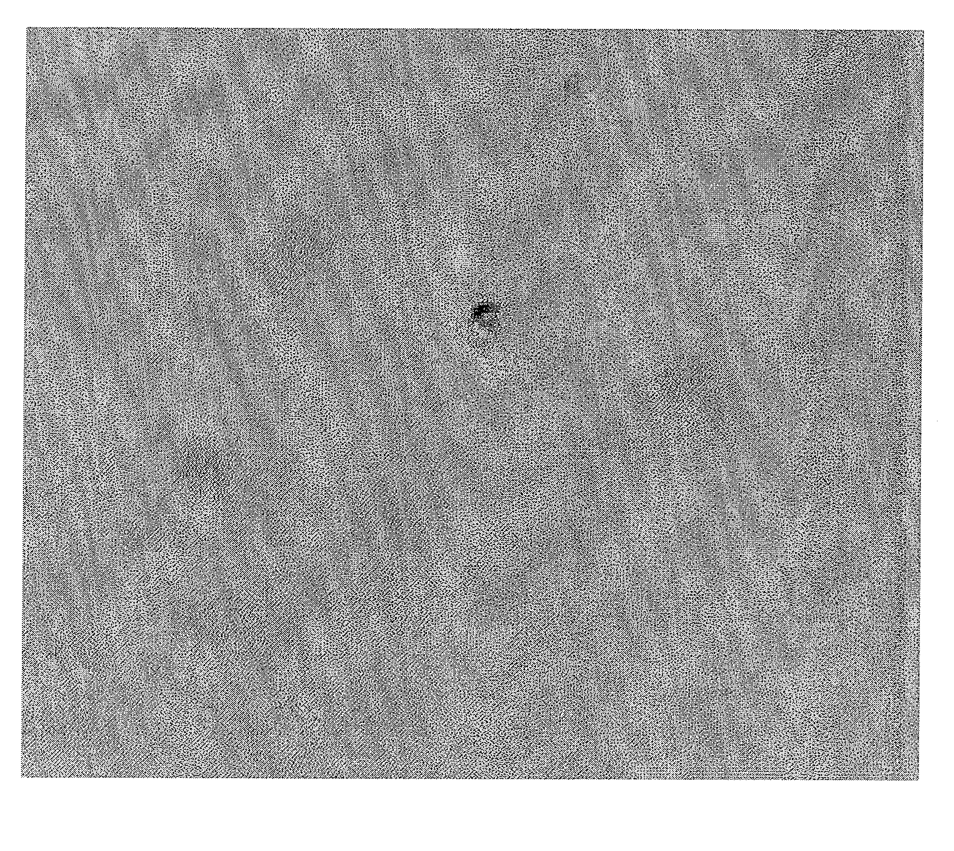 Pharmaceutical composition for external use