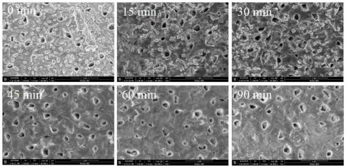 Ultra-stable silver-tantalum composite material surface-enhanced Raman scattering substrate and preparation method