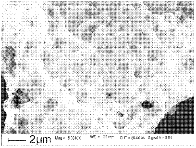 Method for preparing gamma' phase strengthened cobalt-based ODS alloy by using solution method