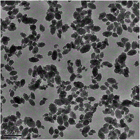 Large surface area porous ZrO2 mesoscopic crystal