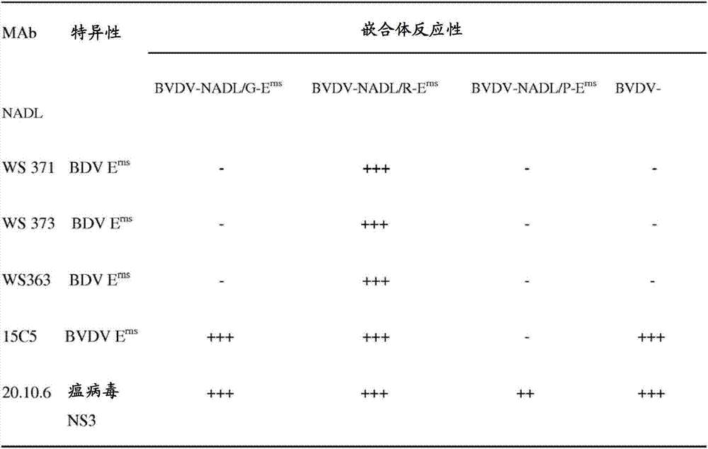 Bovine viral diarrhea-mucosal virus with modified erns protein