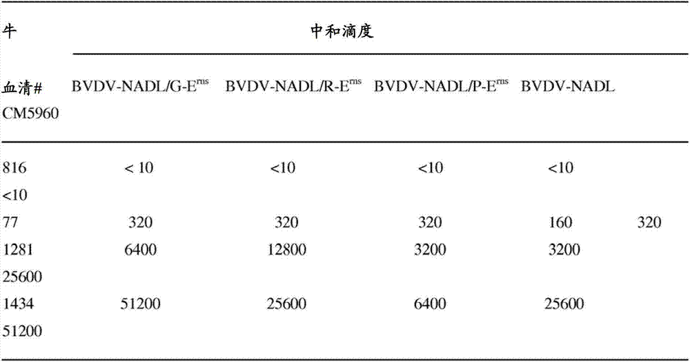 Bovine viral diarrhea-mucosal virus with modified erns protein