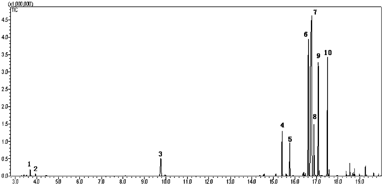 Method for detecting amino acids and saccharides in fermentation liquor through gas chromatography-mass spectrometry