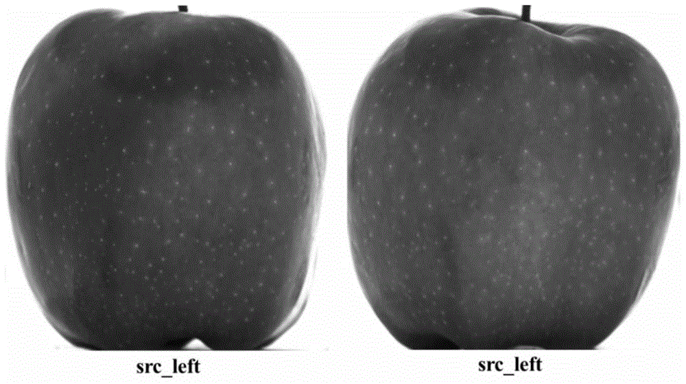 A Fast Matching Calculation Method for Fruit Images