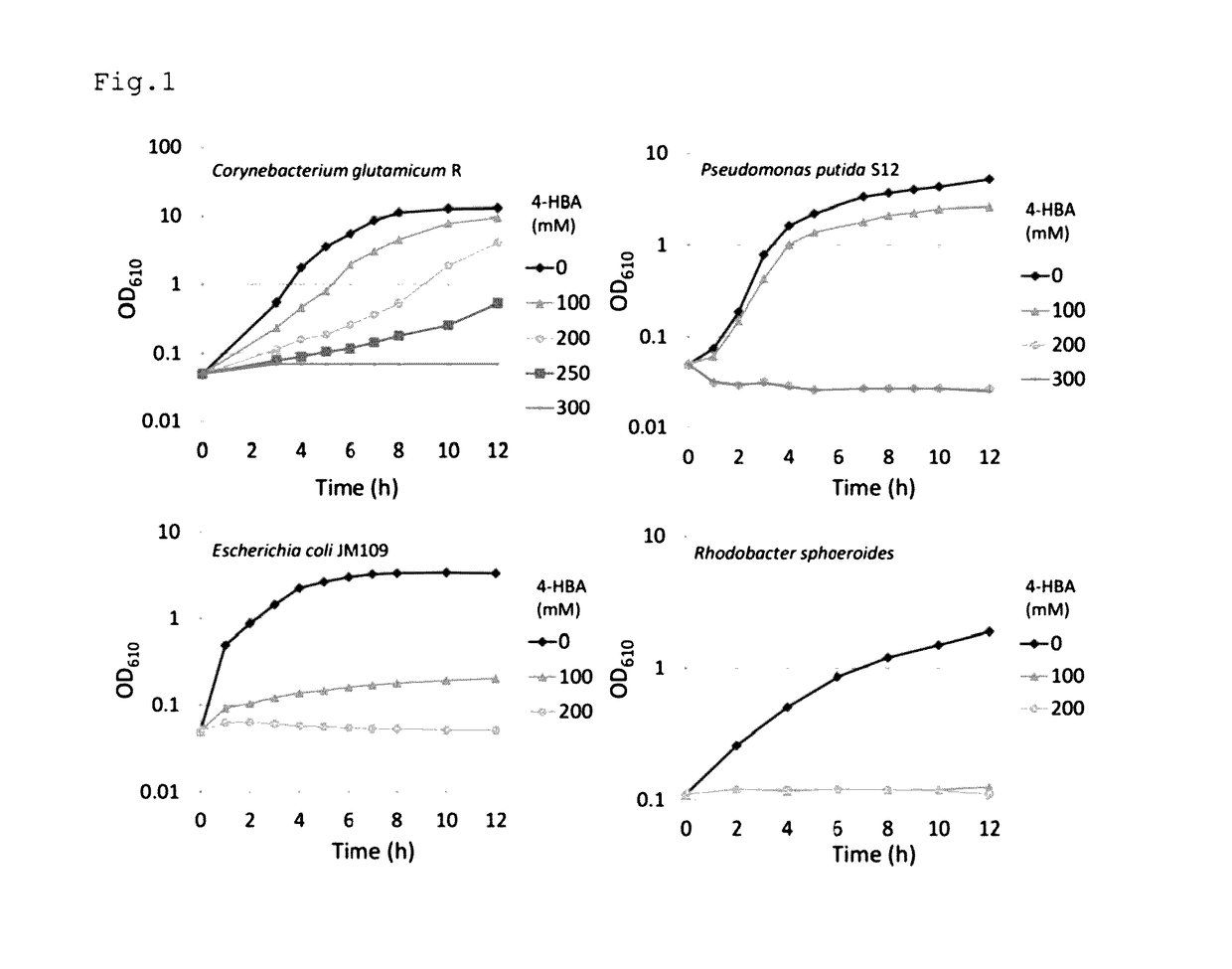 Coryneform bacterium transformant and process for producing 4-hydroxybenzoic acid or salt thereof using the same