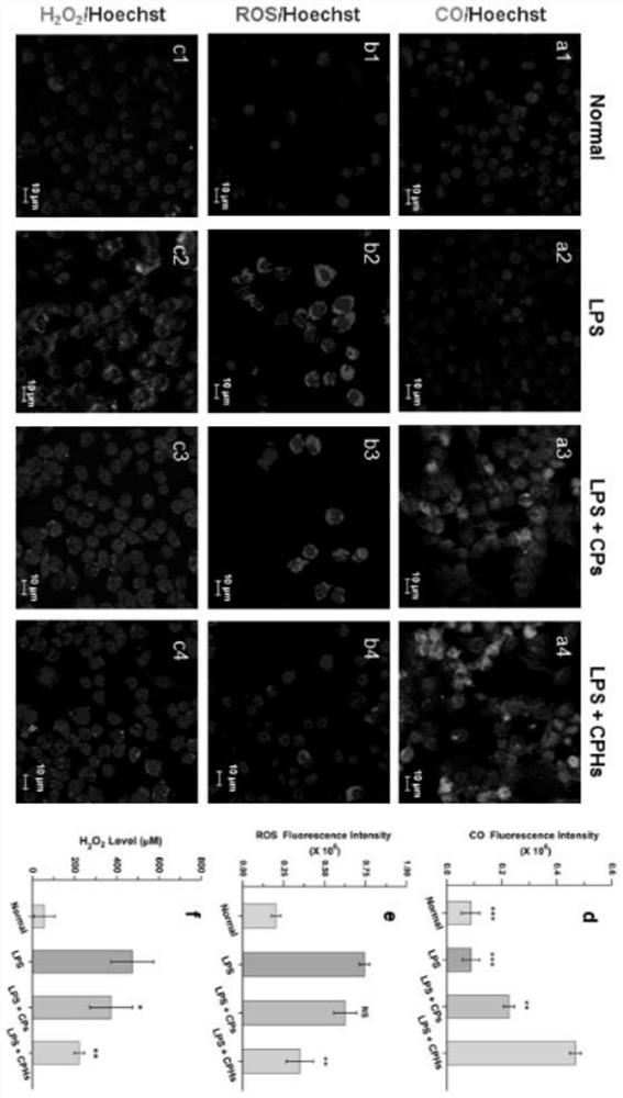 Targeted delivery and consumption of large amounts of h  <sub>2</sub> o  <sub>2</sub> Nanogel drug carrier for simultaneous release of CO, preparation method and application thereof