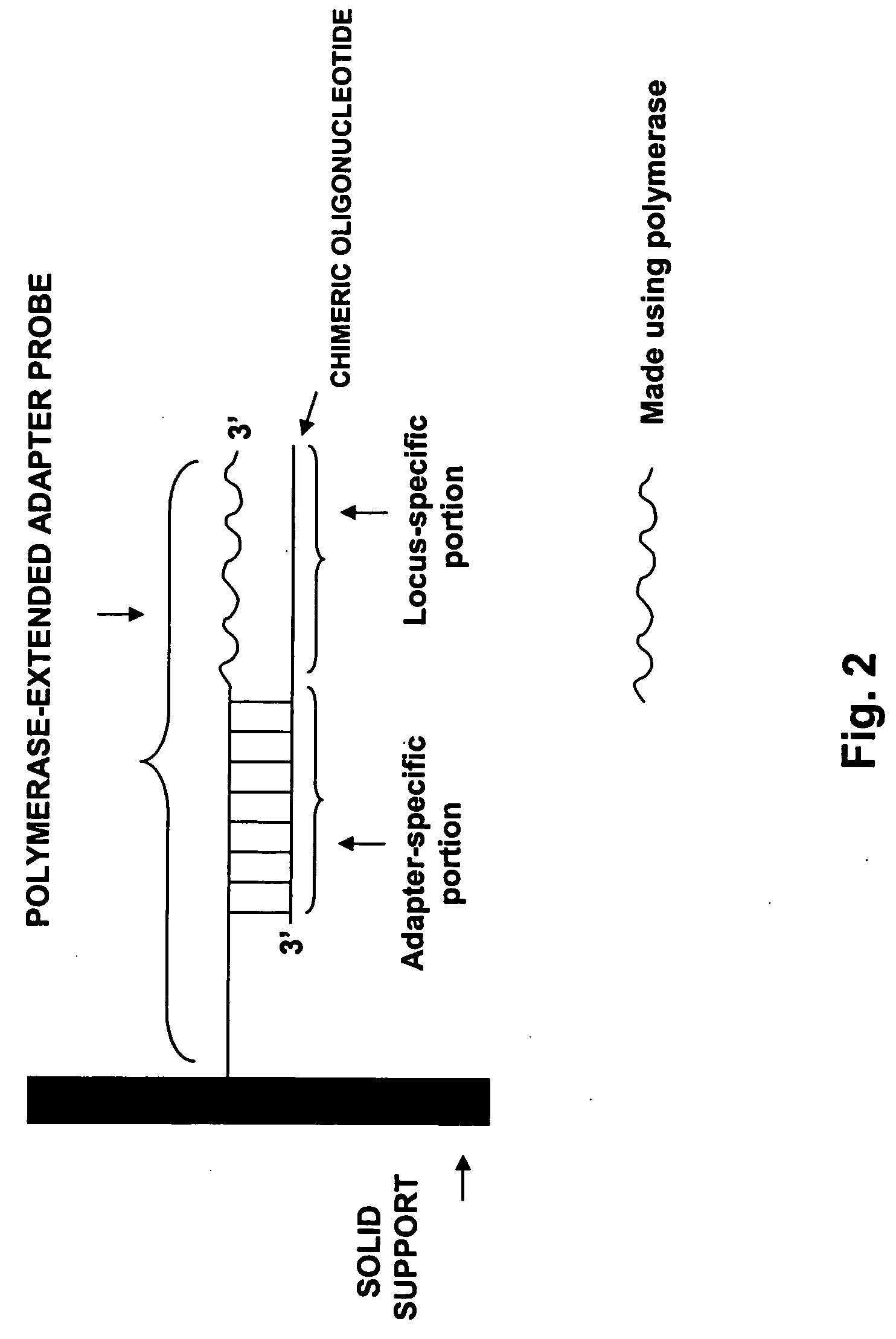 Methods and compositions for making locus-specific arrays
