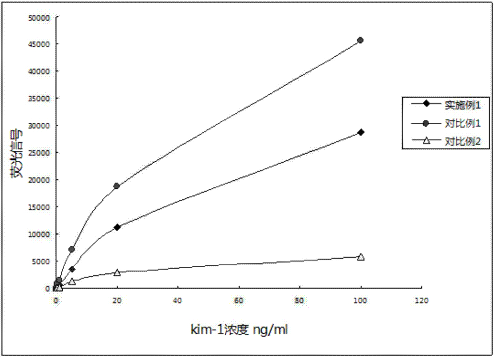 Specific high-affinity recombinant antibody marking fluorescent microsphere and application thereof