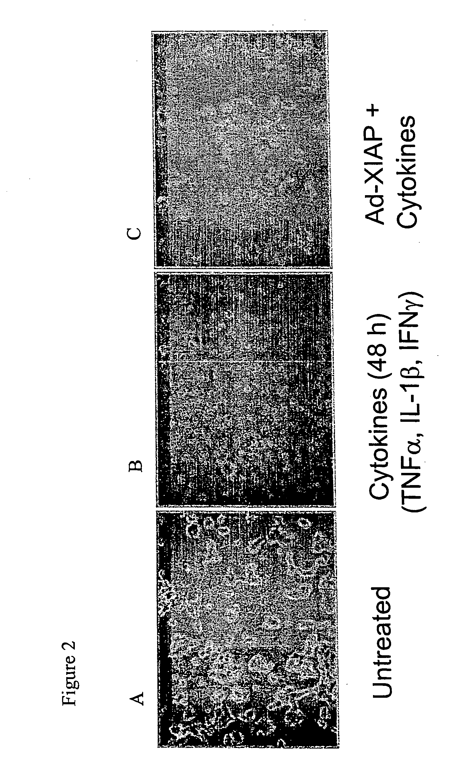 Electronic commerce system including customized catalog having encoded information