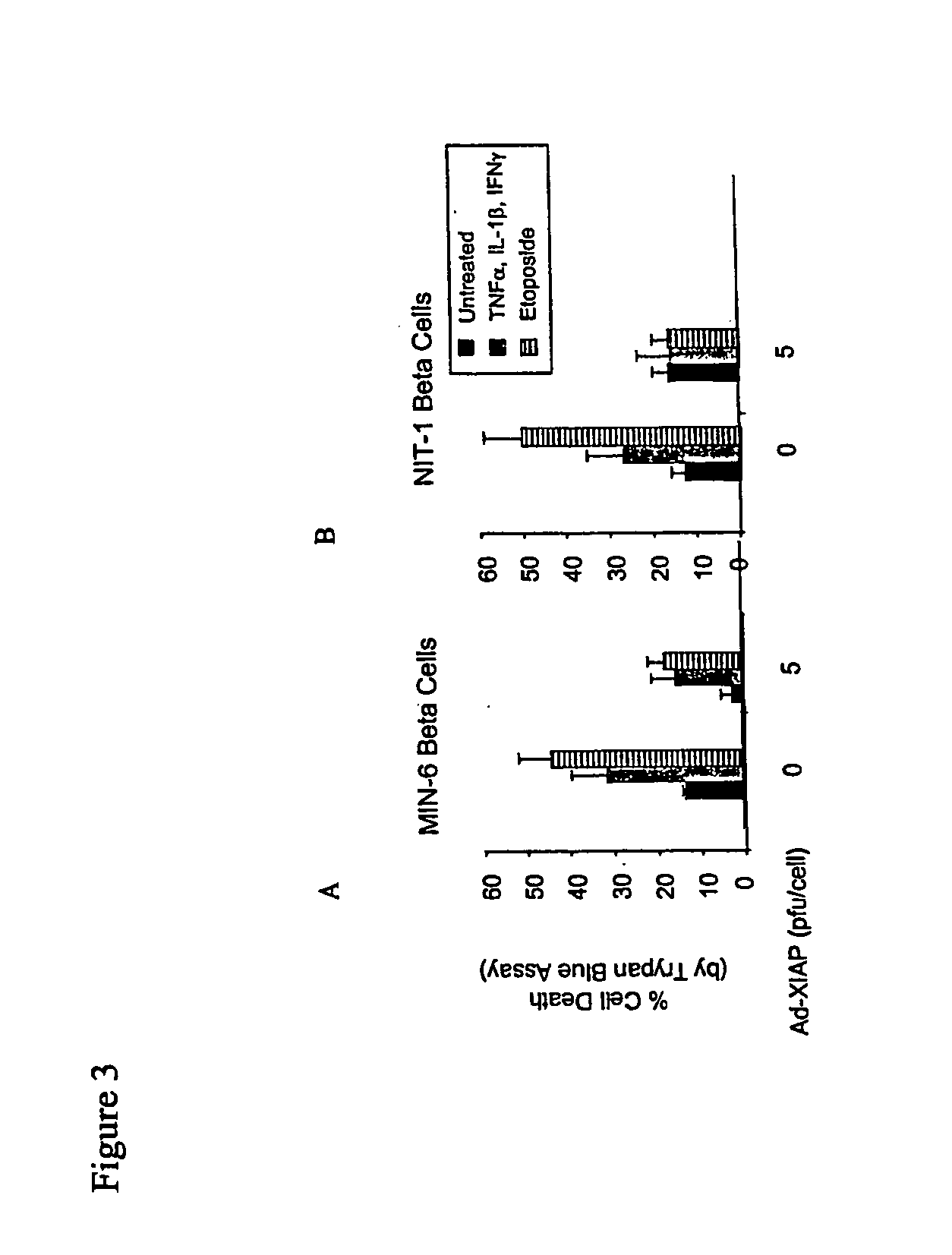 Electronic commerce system including customized catalog having encoded information