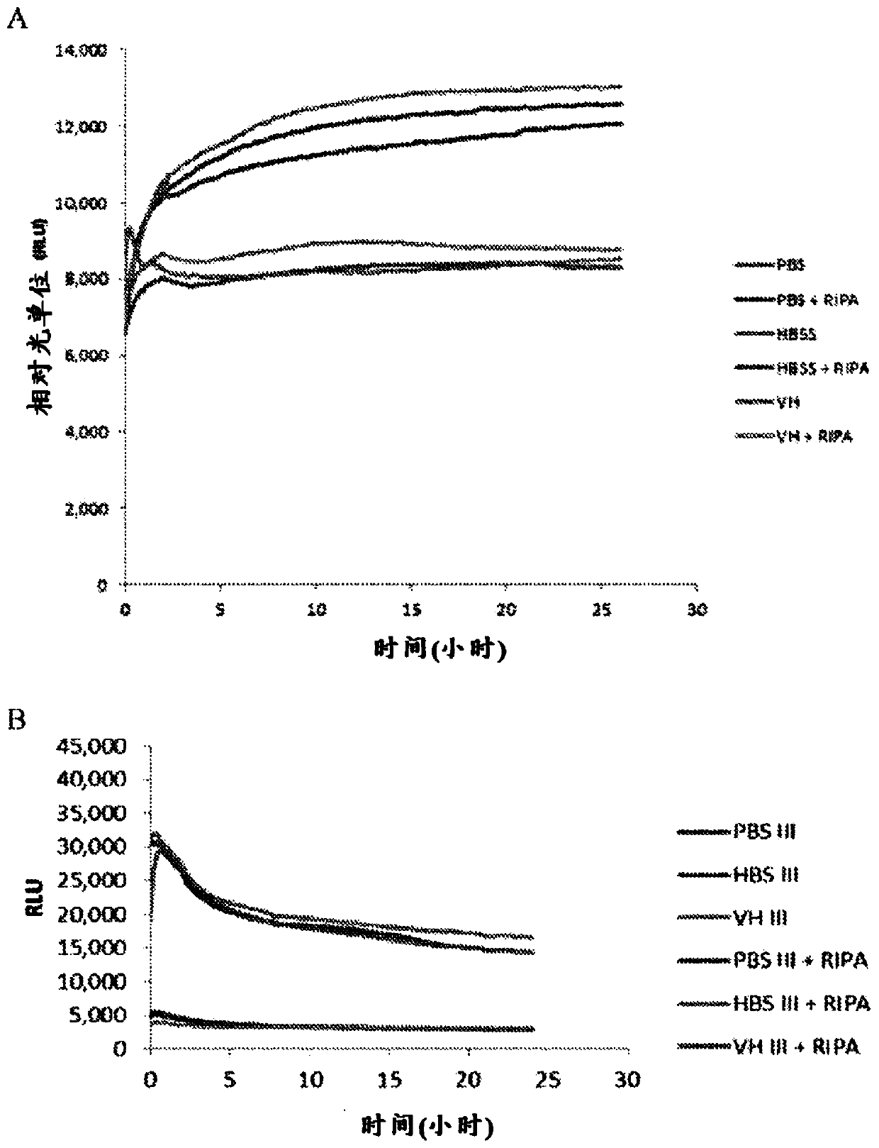 Delivery of urea to cells of the macula and retina using liposome constructs