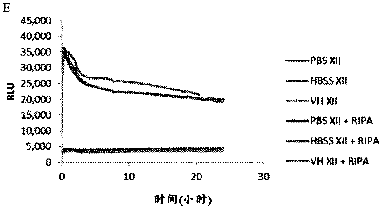 Delivery of urea to cells of the macula and retina using liposome constructs