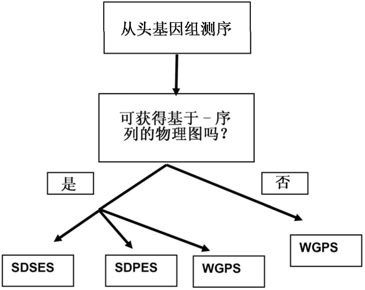 Restriction enzyme based whole genome sequencing