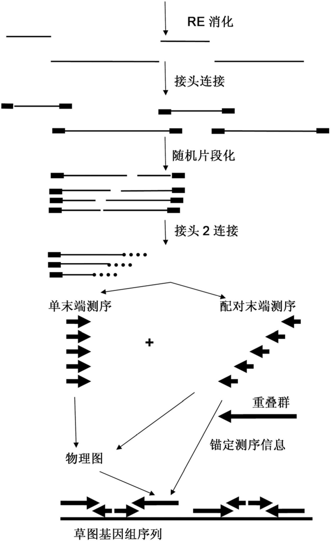 Restriction enzyme based whole genome sequencing