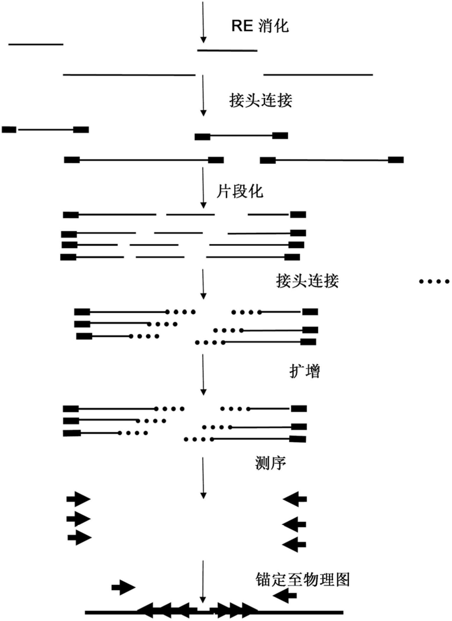 Restriction enzyme based whole genome sequencing