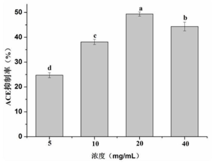 ACE inhibitory peptide and application thereof