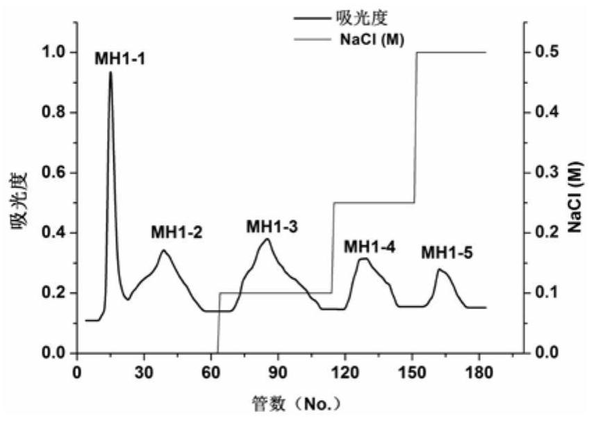 ACE inhibitory peptide and application thereof