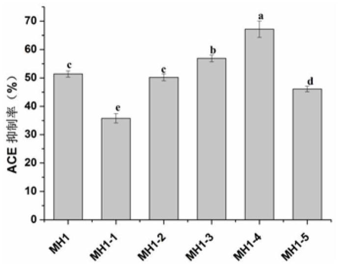 ACE inhibitory peptide and application thereof