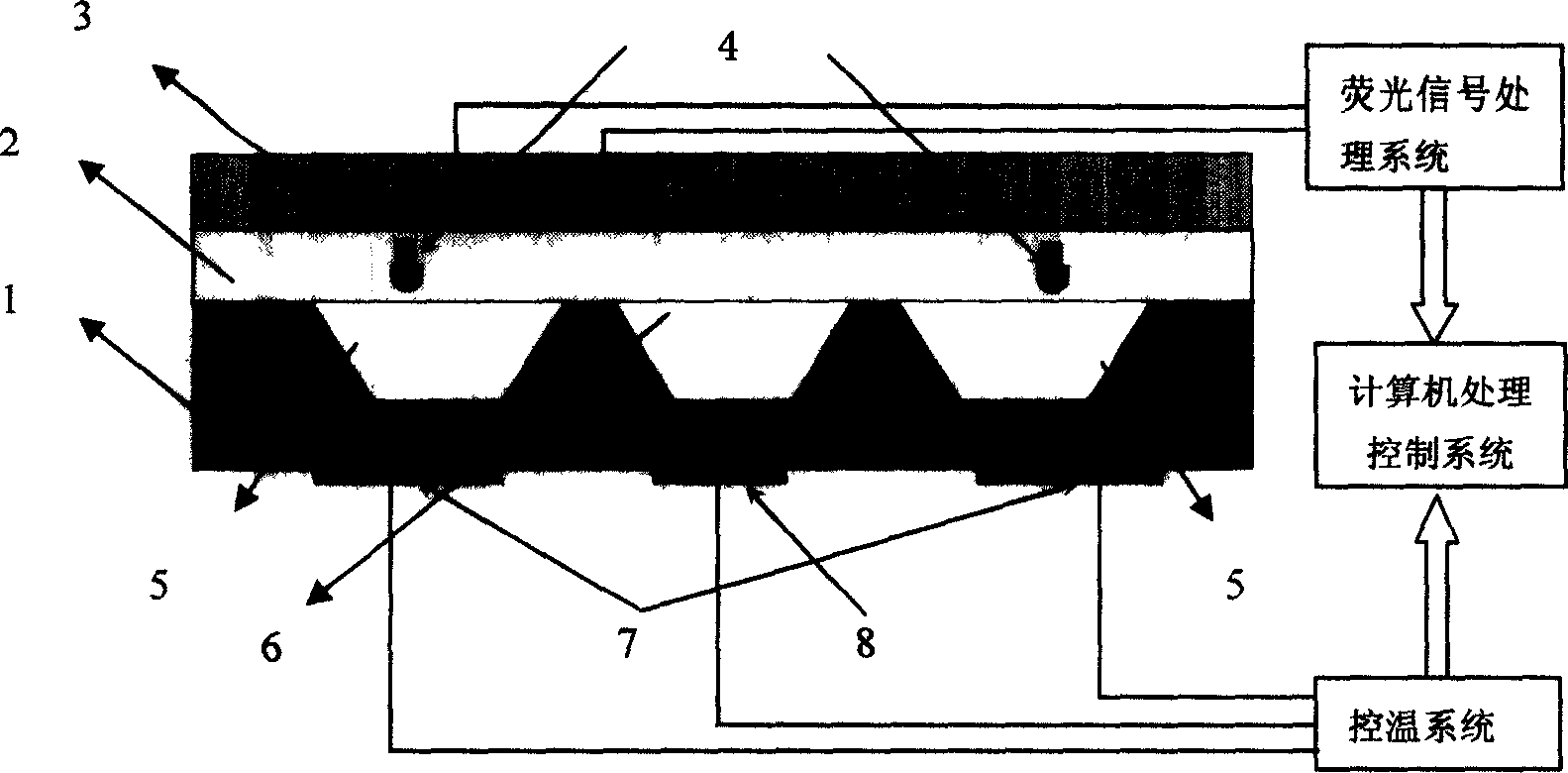 PCR chip micro-system and method for preparing the same