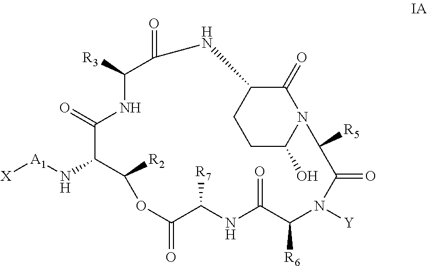 Aldehyde acetal based processes for the manufacture of macrocyclic depsipeptides and new intermediates