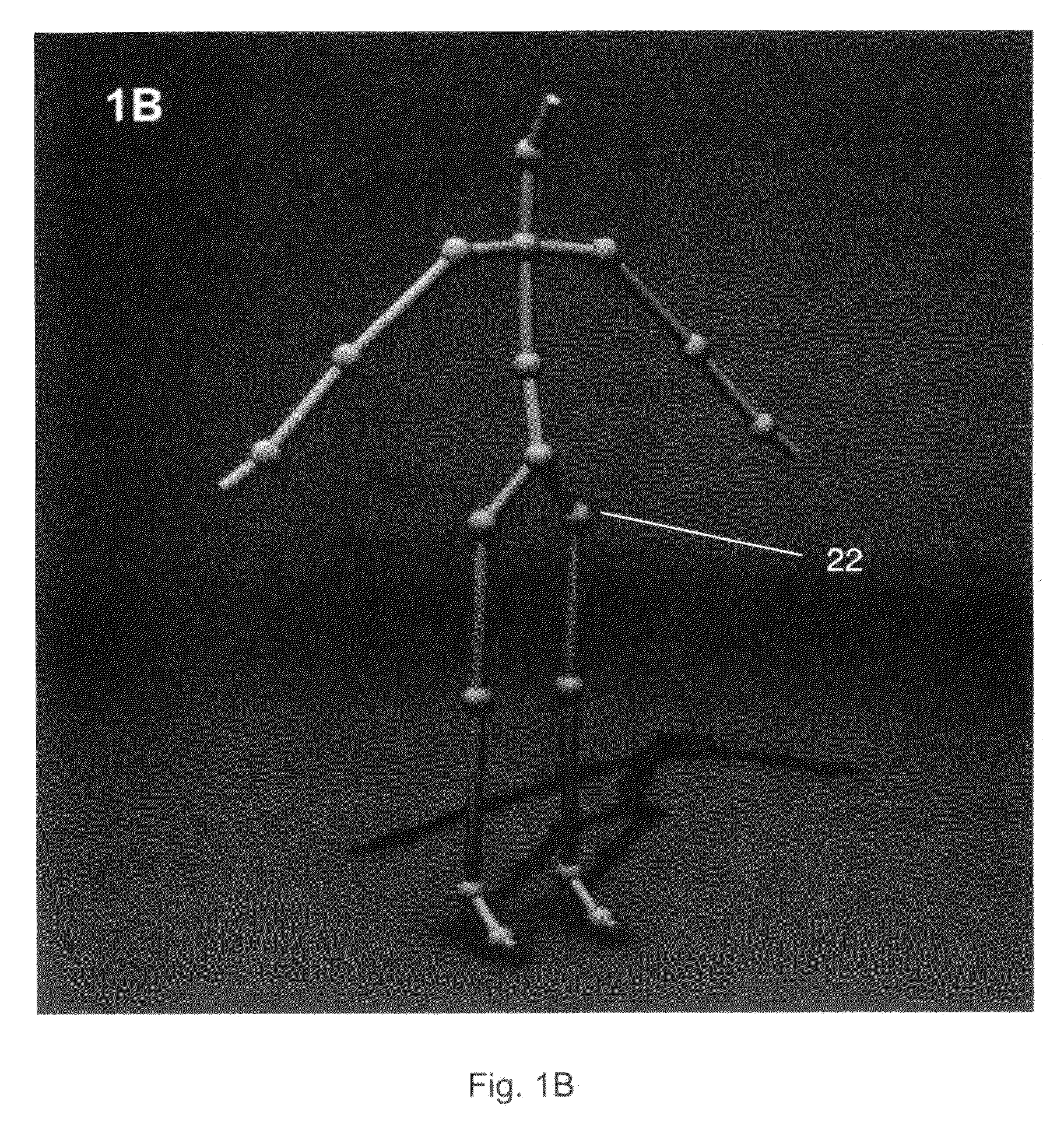 Method for real time interactive visualization of muscle forces and joint torques in the human body