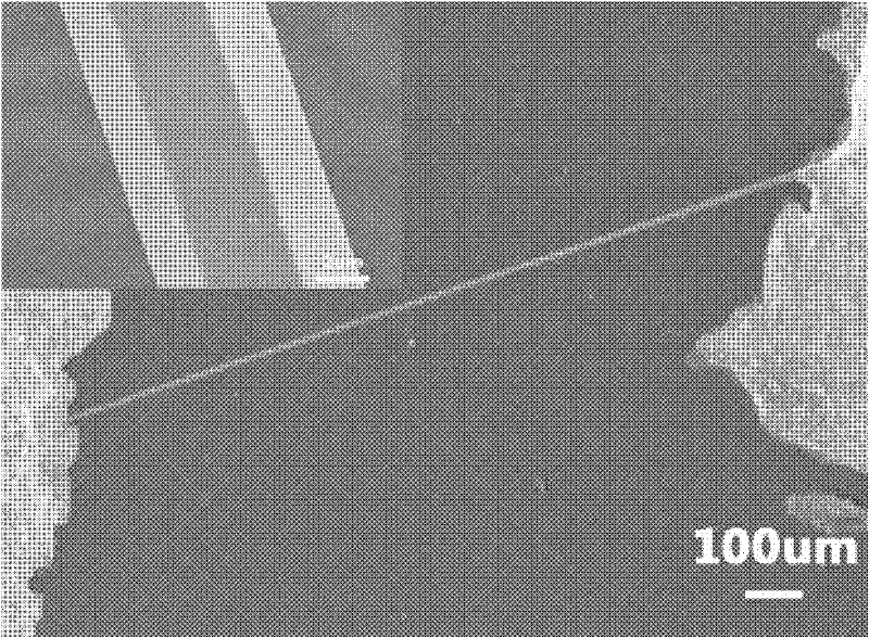 A construction method of zno micro/nano material flexible strain sensor