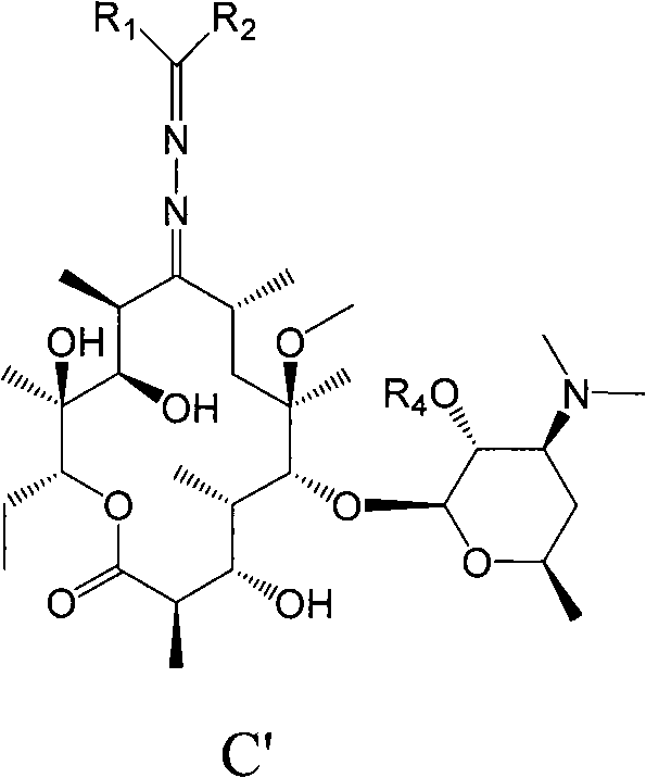 Erythromycin A derivative and preparation method thereof