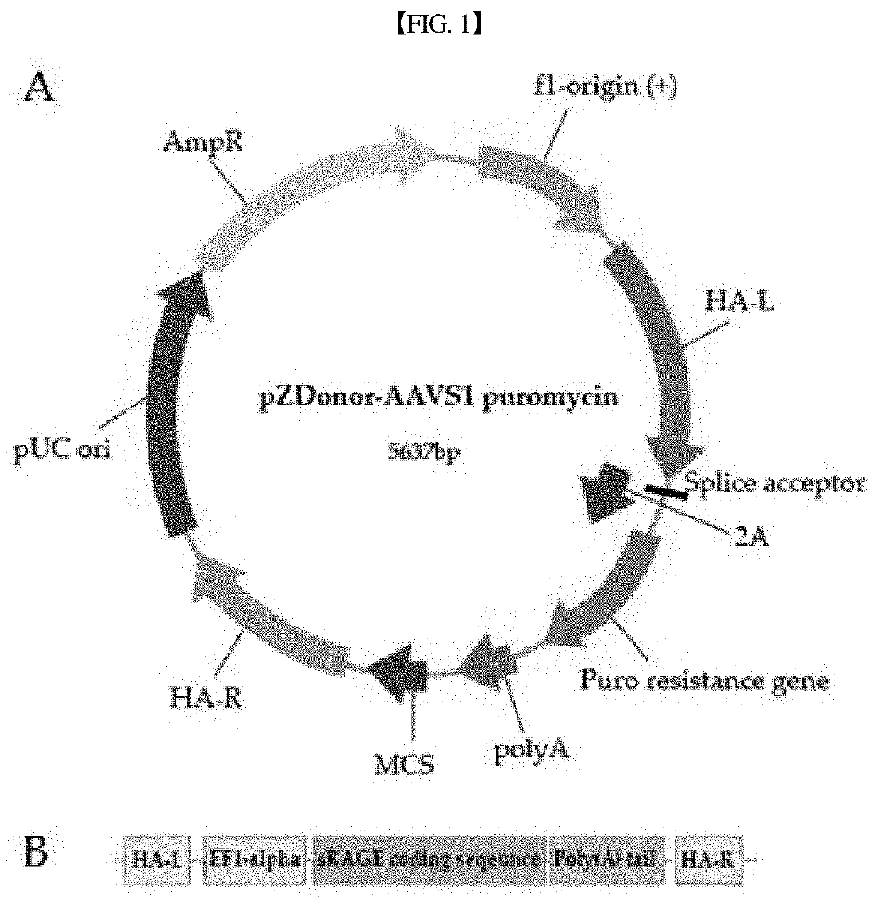 Pharmaceutical composition for preventing or treating neurological disorders or cardiovascular diseases, comprising srage-secreting stem cell