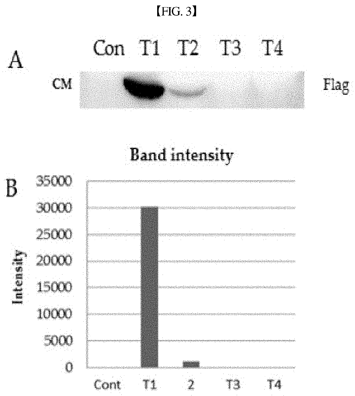 Pharmaceutical composition for preventing or treating neurological disorders or cardiovascular diseases, comprising srage-secreting stem cell