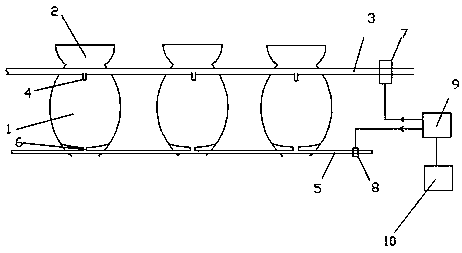 Automated large-scale hyacinth cultivation device