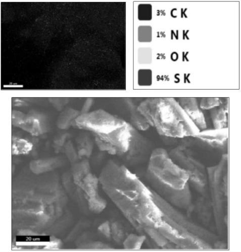Synthesis and Application of a High Molecular Heavy Metal Scavenger