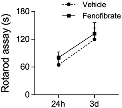 Application of fenofibrate as PPM1D agonist