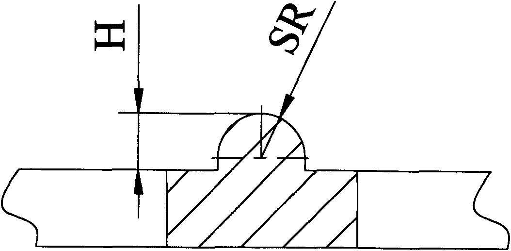 Bionic non-smooth sorting screen surface