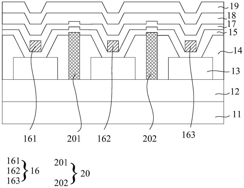 OLED display panel and OLED display device