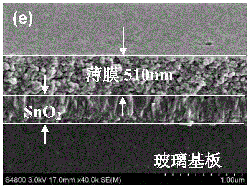 A bi1-xdyxfeo3 film with high dielectric constant and preparation method thereof