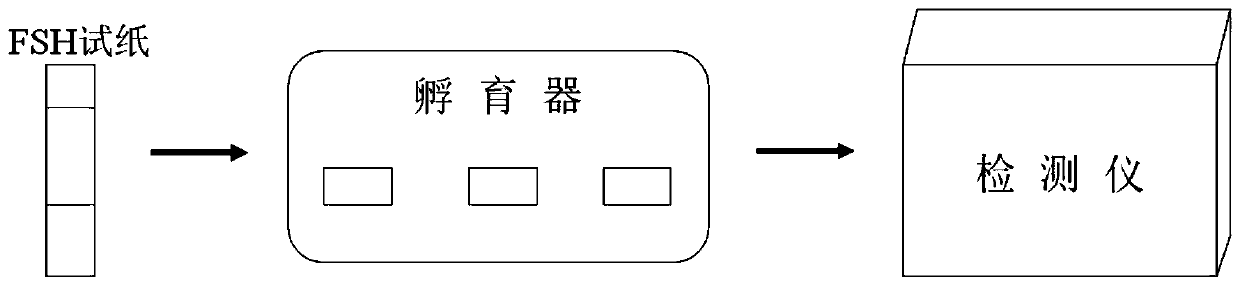 Preparation method of fluorescence immunochromatography test paper for assisting ovarian cancer diagnosis based on FSH rapid detection