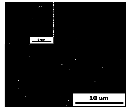 Arrayed silver nanorods with surface-modifying gold nanoparticles and preparation method thereof