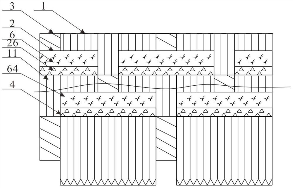 Anti-erosion riparian zone repair system and method