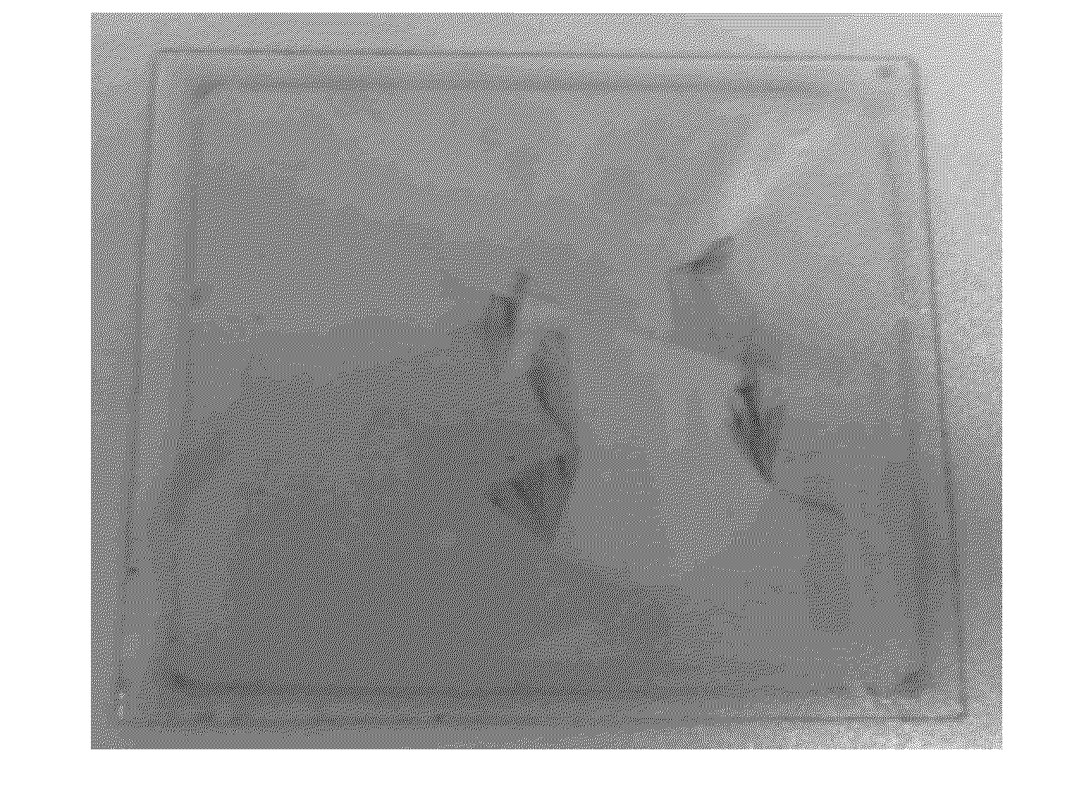 Method of manufacturing surface-treated transparent conductive polymer thin film, and transparent electrode manufactured using the same