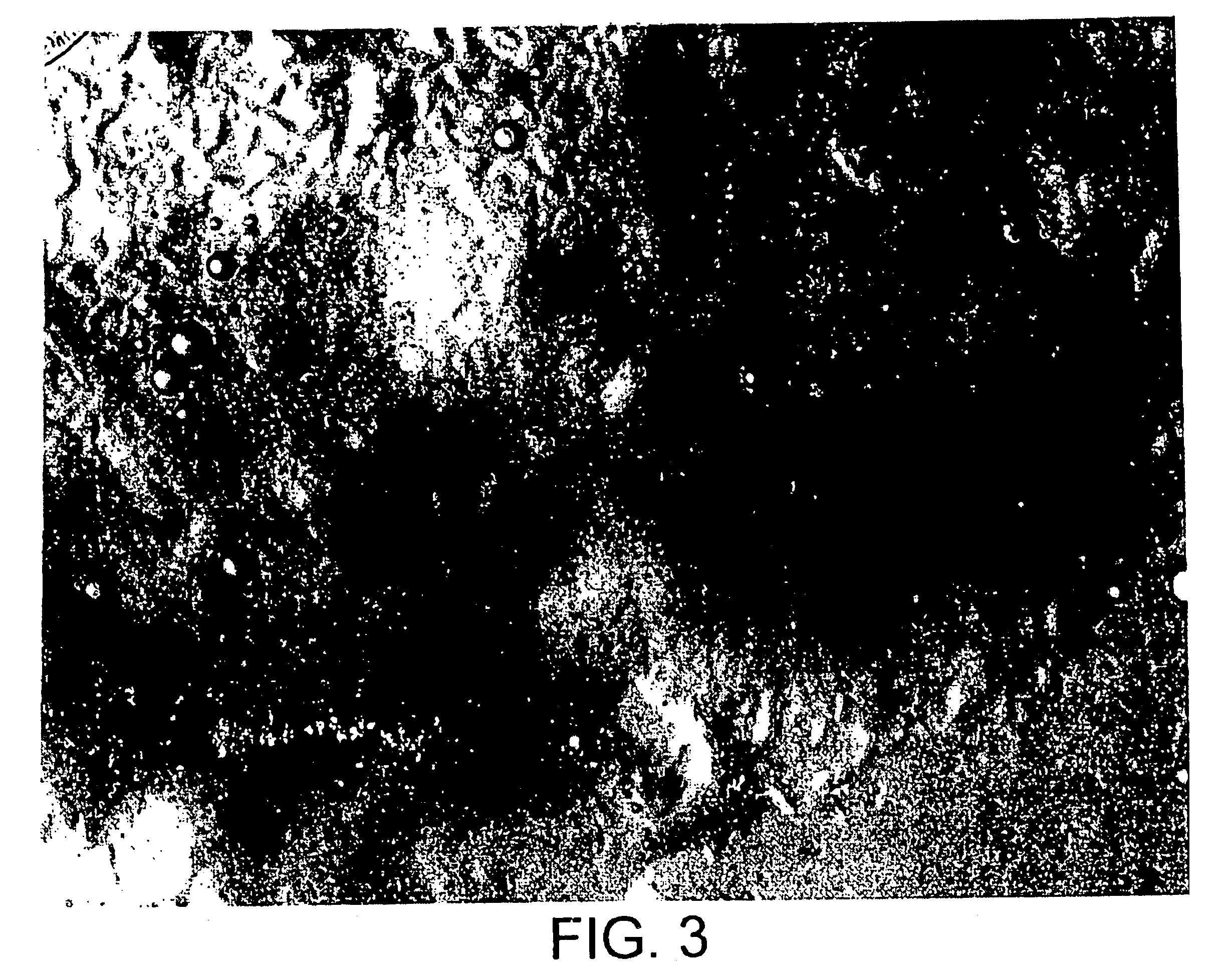 Nematicidal compositions and methods