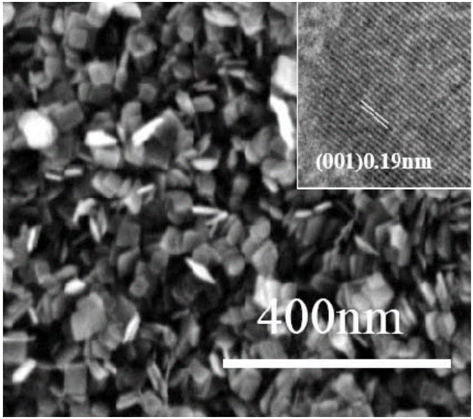 Nanoscale TiO2/carbon aerogel electrode high in {001} crystal face exposure proportion and preparation method and application thereof