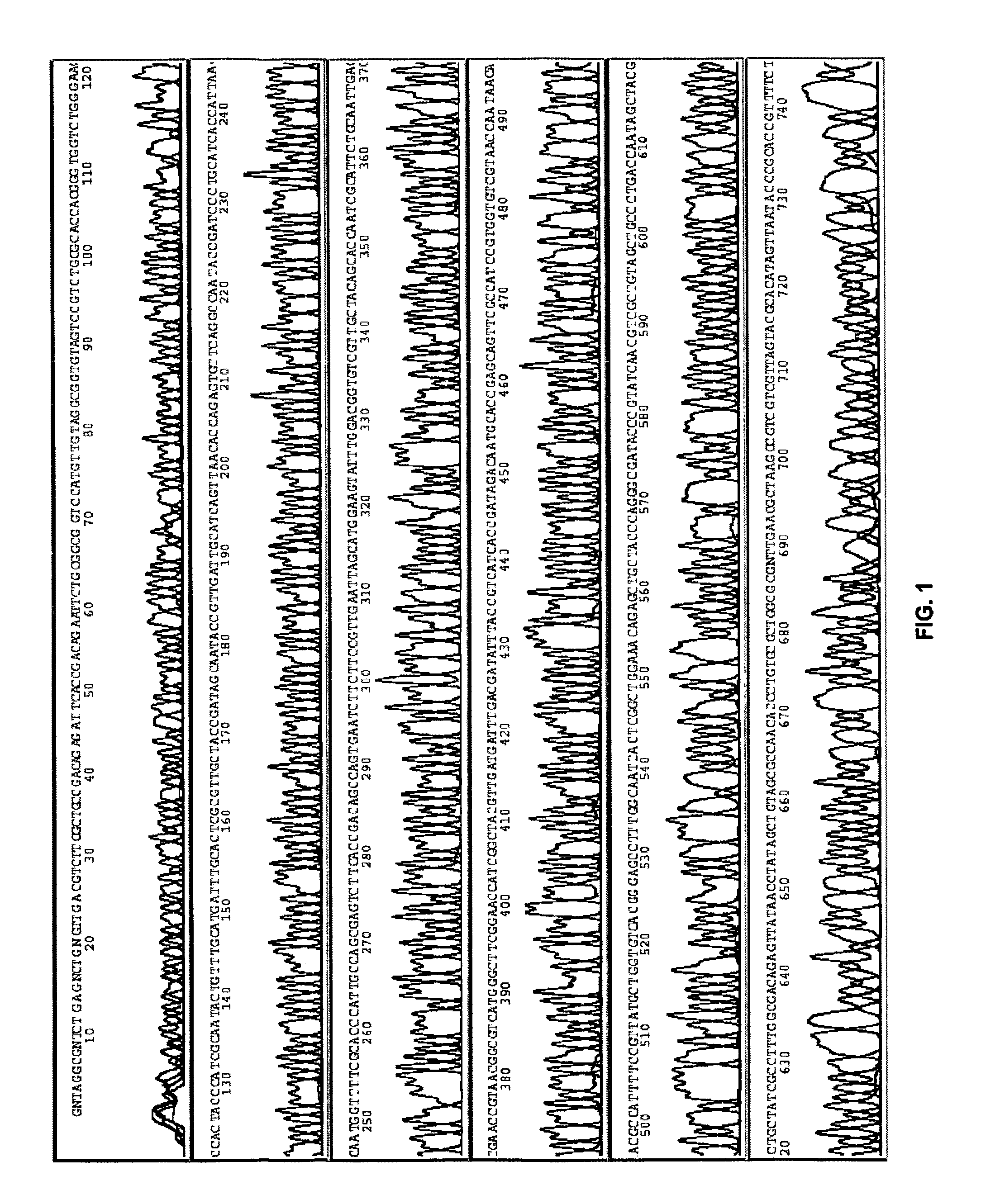 Methods, compositions, and kits for amplifying and sequencing polynucleotides