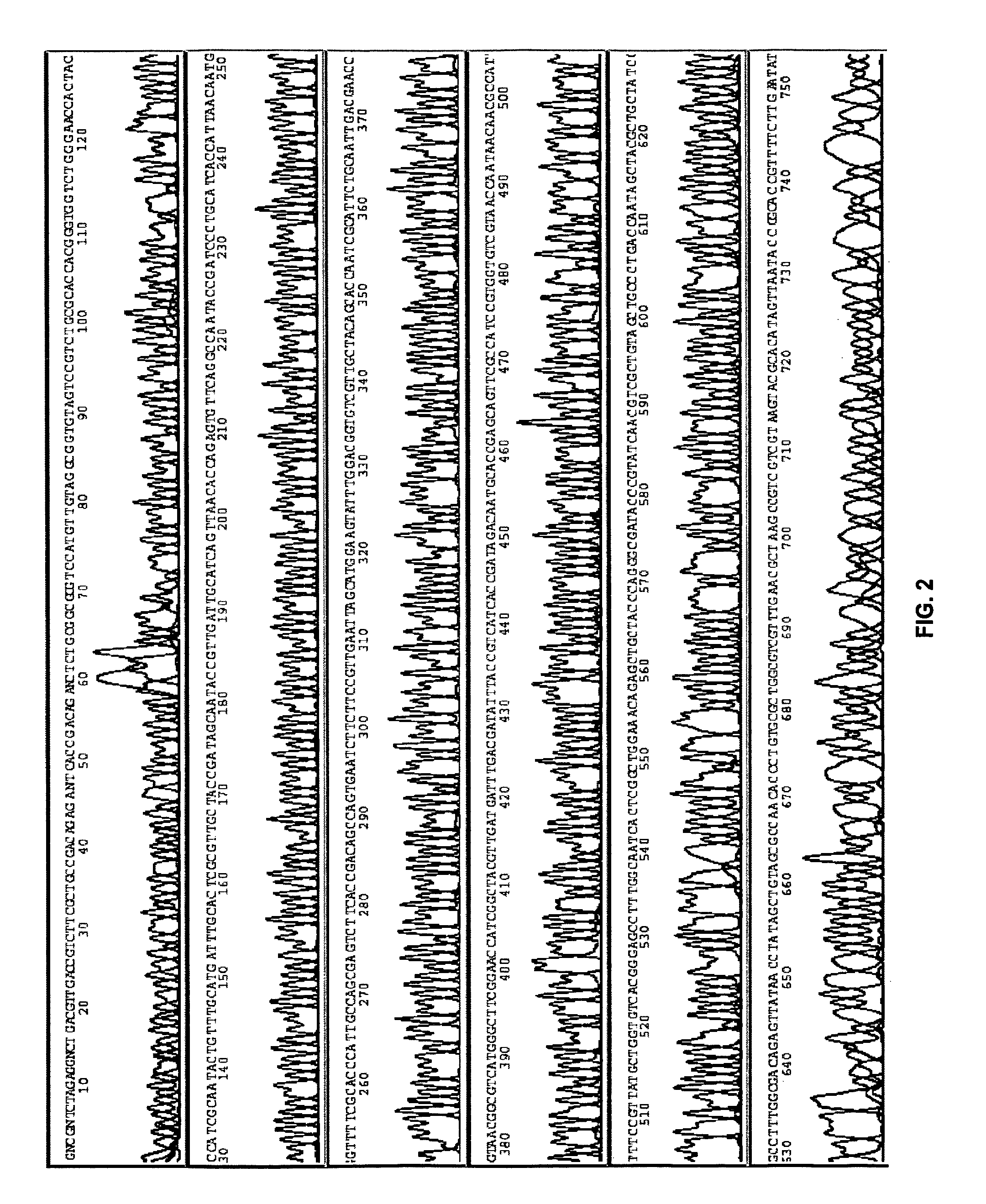 Methods, compositions, and kits for amplifying and sequencing polynucleotides