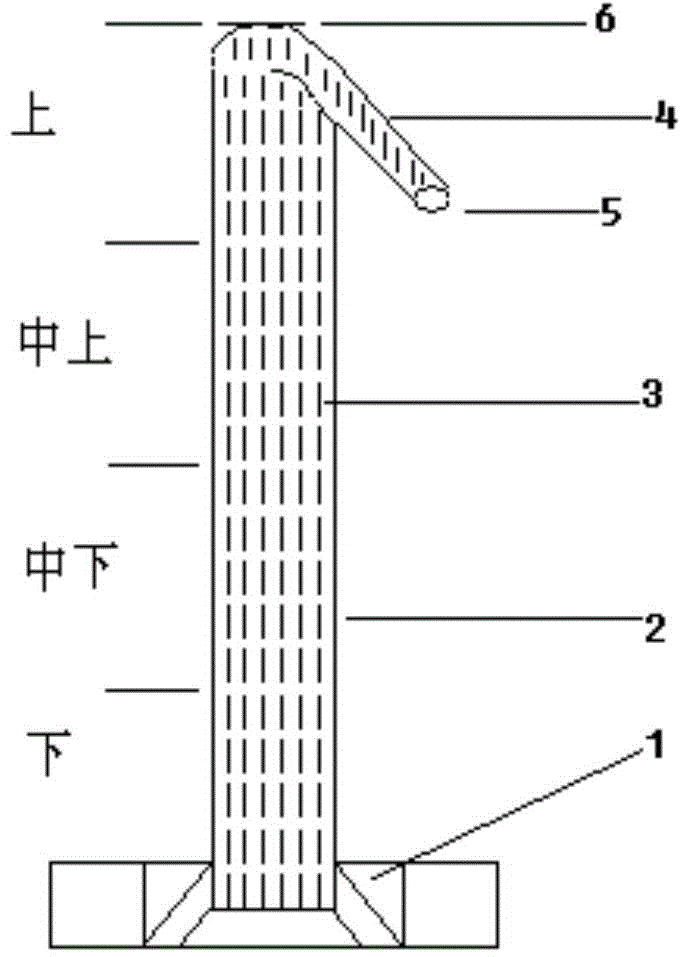 Cellulose-acetate-made equipment with water upflowing function